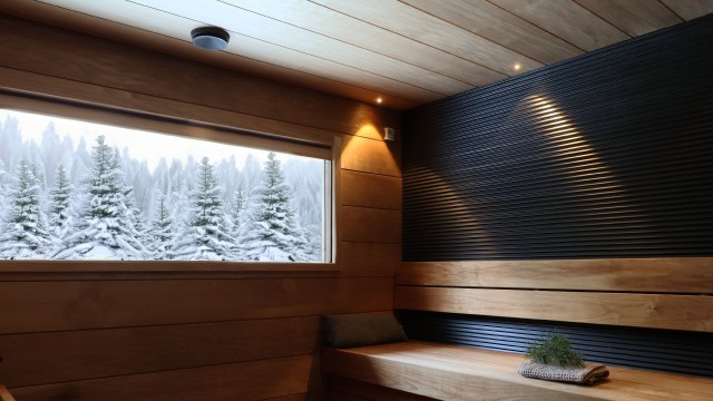 Sauna mustilla paneeleilla 