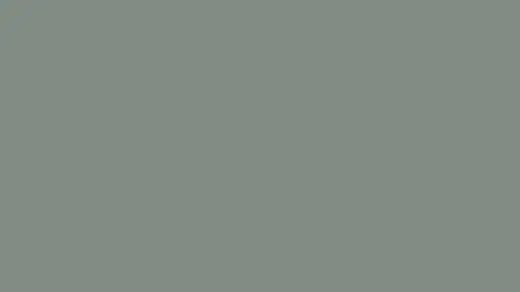 N494 Nefriitti