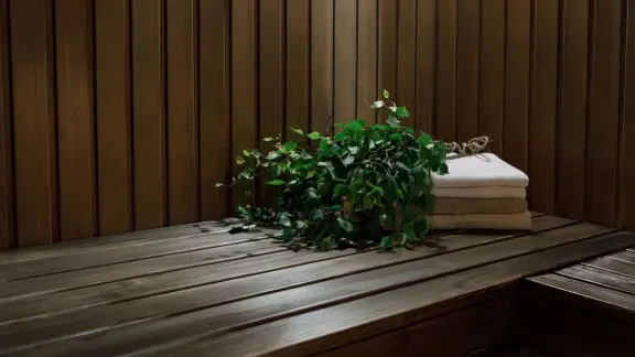 Tummanruskea sauna 