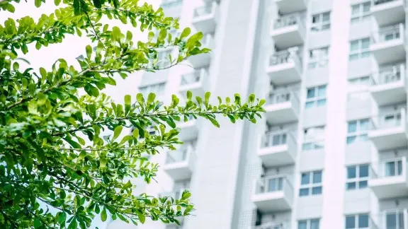 White building and trees