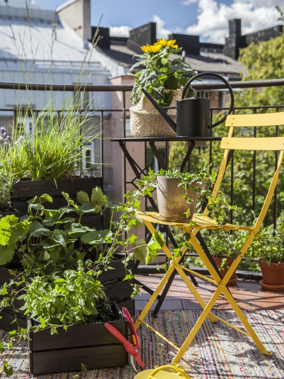 Kaupunkilaisparveke jossa on paljon vehreitä kasveja