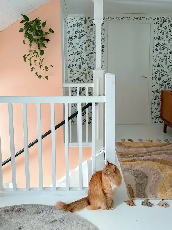 Persikkainen beige seinä 