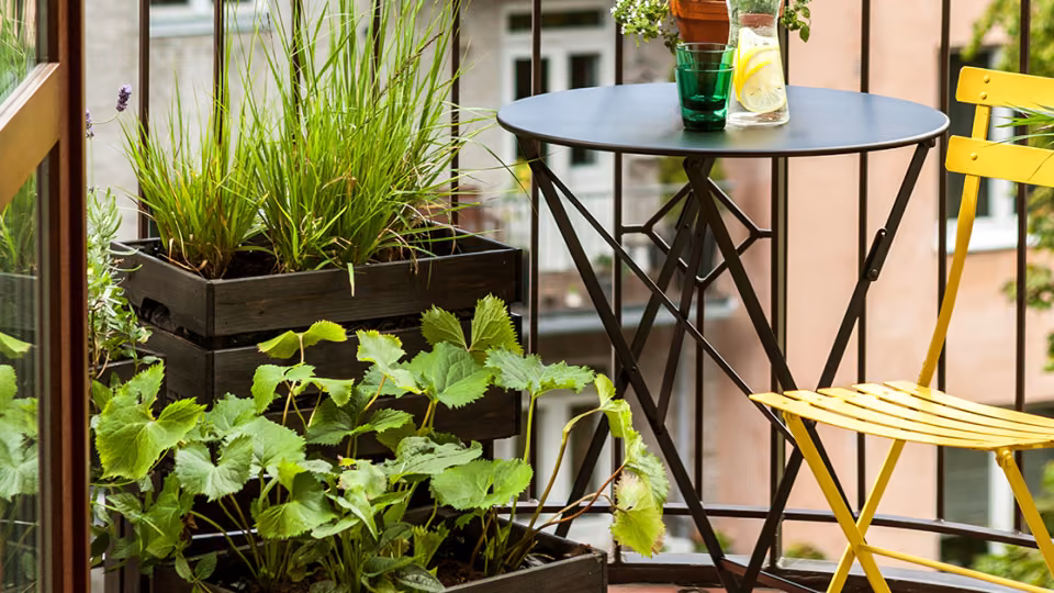 Balcony makeover - creating an urban oasis