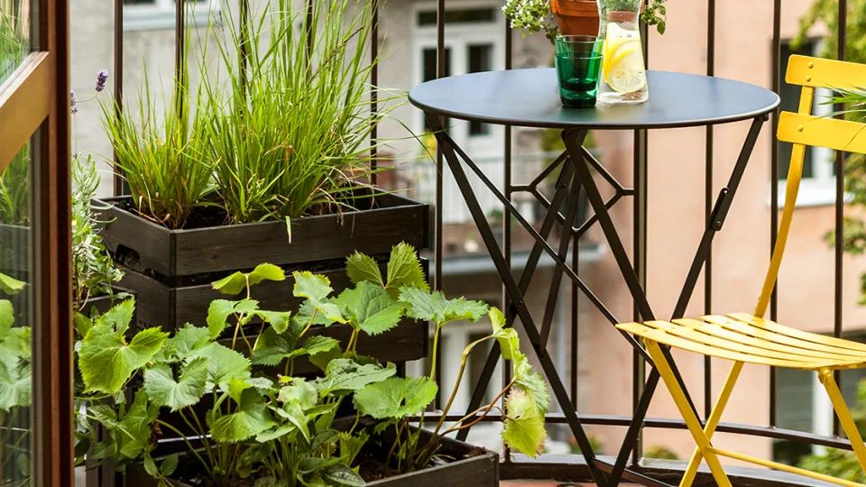 Balcony makeover - creating an urban oasis