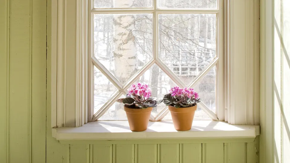 Ovien, ikkunoiden ja listojen lakkaaminen