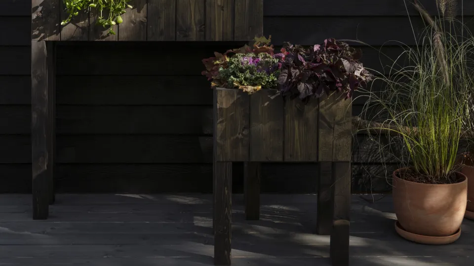 Kasvatuslaatikon maalaus