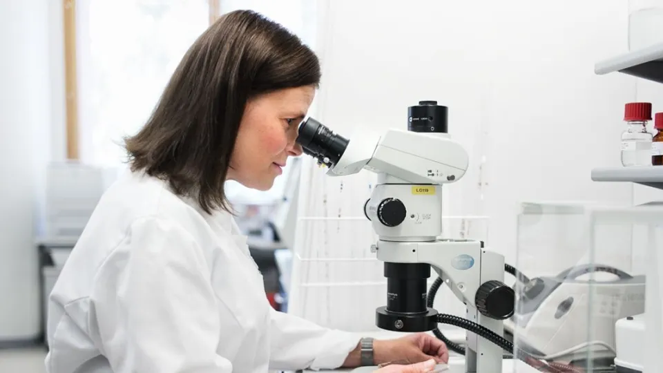 Laborantti tutkii vanhan maalipinnan koostumusta Tikkurilan analyyttisessä laboratoriossa. 