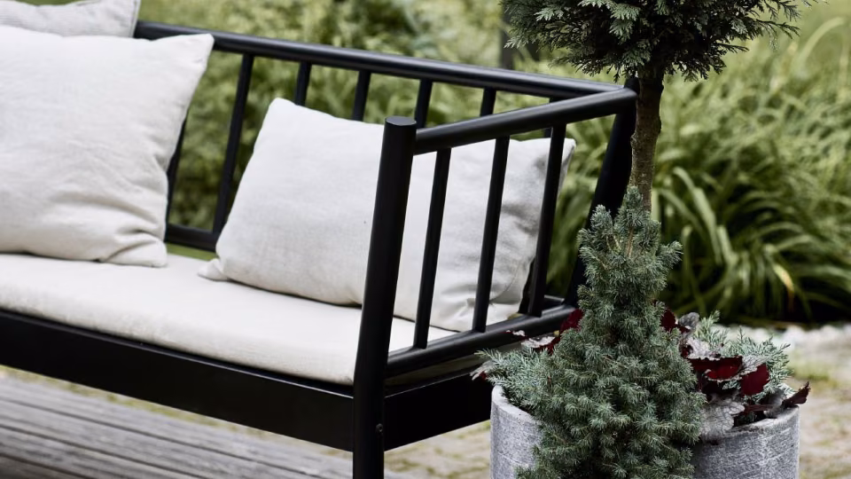 Paint terrace in dark colour