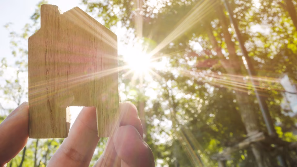 What are ecolabels and why do they matter? 