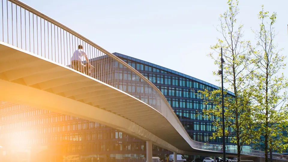 Puusilta urbaanissa ympäristössä