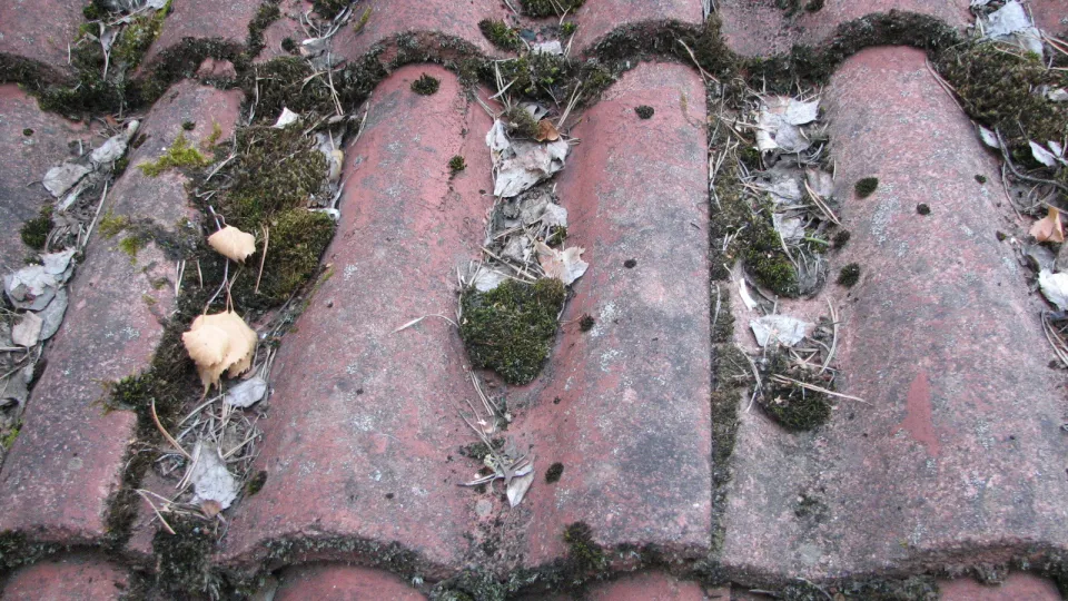 Miten poistan sammaleen katolta