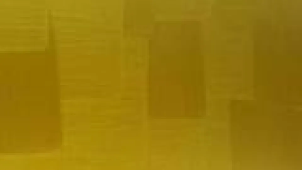 Tikkurila Taika kultamaali_kuvioitu siveltimellä