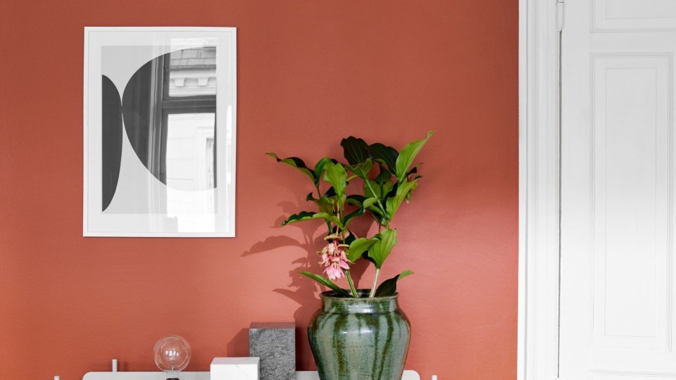 living room wall painted with terracotta color