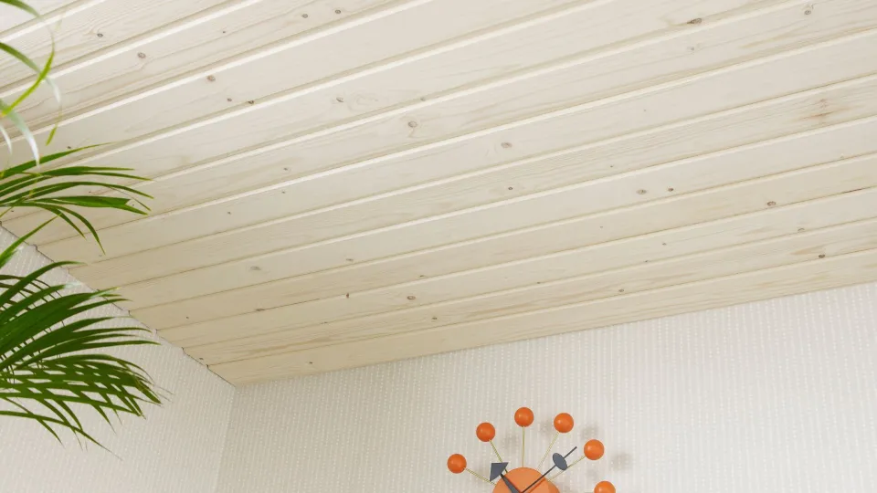 Aiemmin lakatun paneelikaton lakkaus