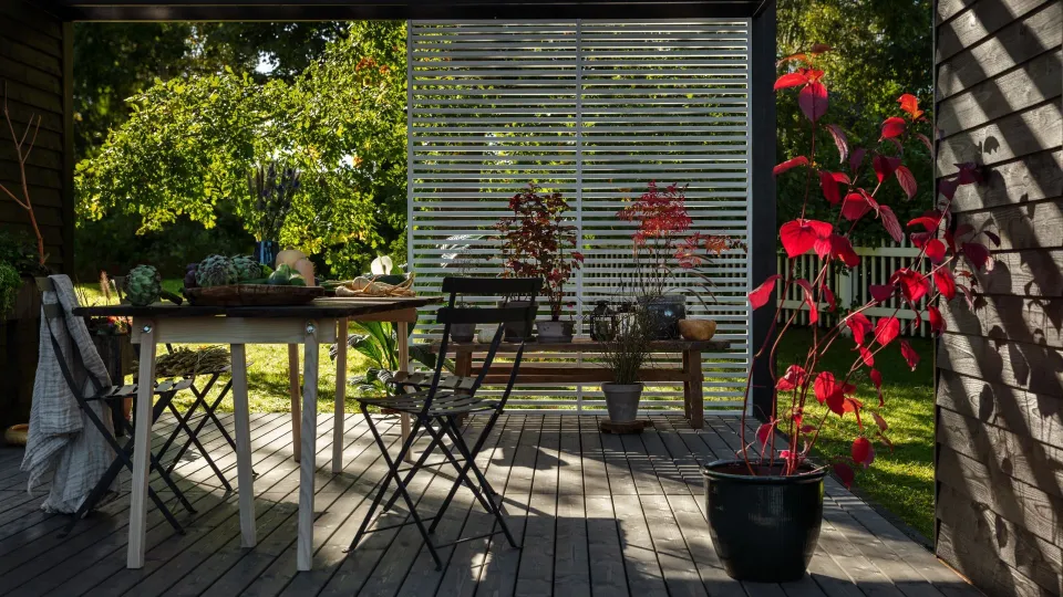 choosing colour for terrace