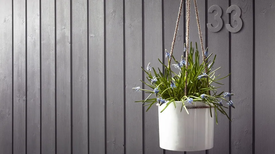 Ohjeet puutalon lautaverhoilun maalaamiseen