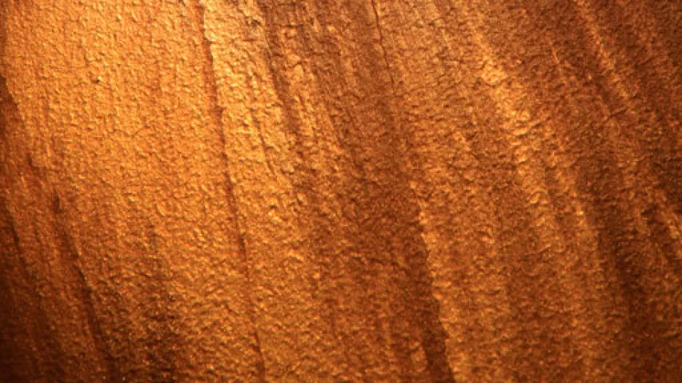 Harmony ja Taikamaali lastaveto