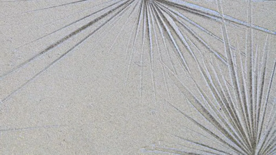 Tähtikuvioita Tunto Hienolla ja Taialla