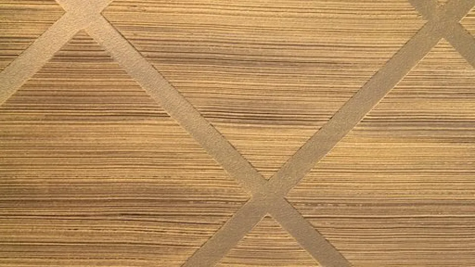 Ruudukko Tunto Hienolla