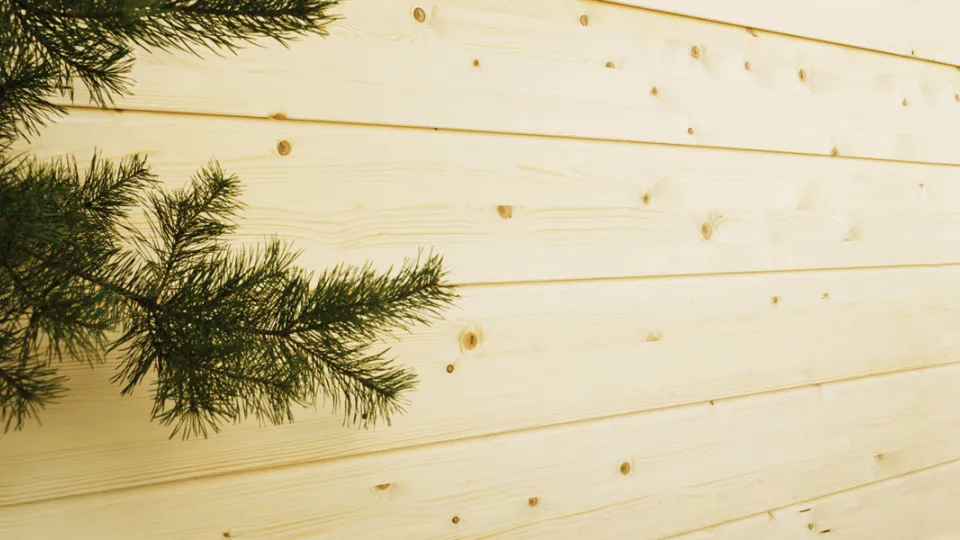 Uusi käsittelemätön puupinta