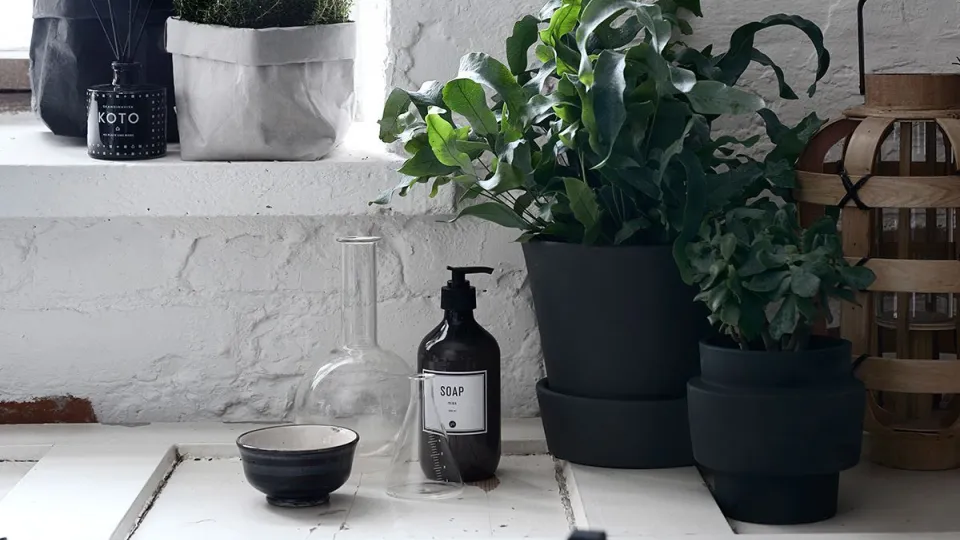 Hiilenharmaat piharuukut