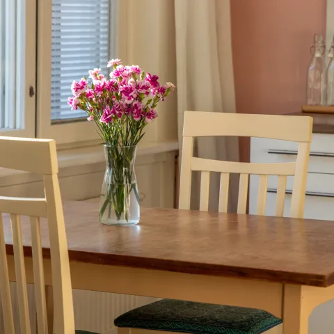 keittiöntuolien maalausprojekti