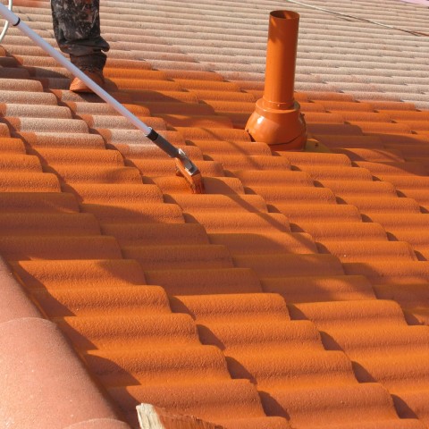 Roof tile paint color card