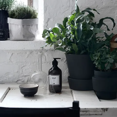 Hiilenharmaat piharuukut