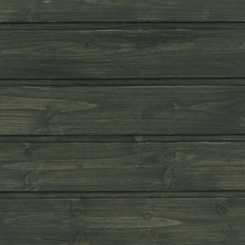 Dark woods