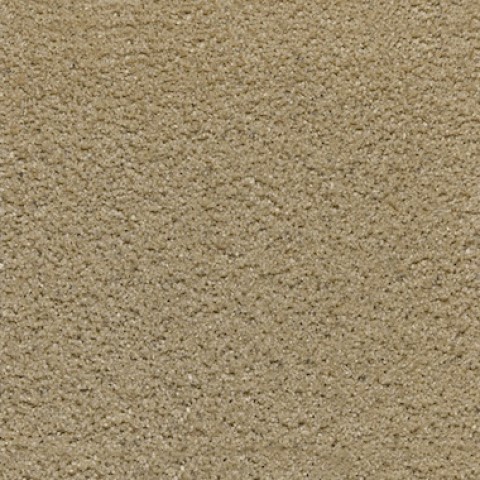 Septaria