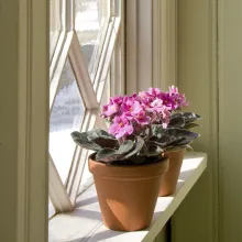 Aiemmin lakattujen ovien, ikkunoiden ja listojen lakkaus