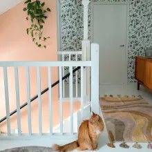 Vuoden väri 2024: Nude in Nizzalla maalattu portaikon seinä