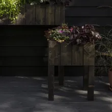 Kasvatuslaatikon maalaus