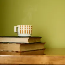 Vuoden väri 2026 Kameleontti. Kirjapino ja muki.