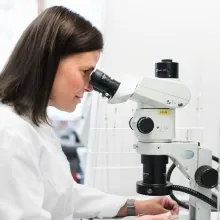 Laborantti tutkii vanhan maalipinnan koostumusta Tikkurilan analyyttisessä laboratoriossa. 