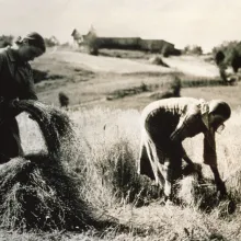 Vanhan ajan maalit pellolla