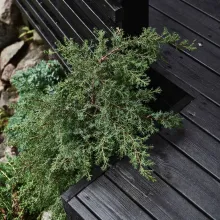 Tikkurilan ulkomaaleilla maalattu terassi kesällä