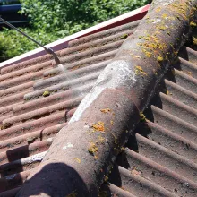 Katon puhdistaminen kasvustosta