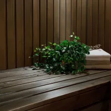 Ohjeet saunan käsittelyyn