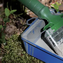 Vihreä maalipensseli maalikaukalossa