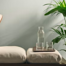 Thalora-sävy seinällä. Edessä daybed, huonekasvi ja tarjotin, jossa vesilaseja.