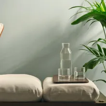 Thalora-sävy seinällä. Edessä daybed, huonekasvi ja tarjotin, jossa vesilaseja.