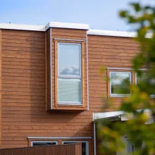 Puun teollinen maalaus