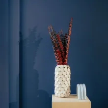 Tikkurila Vuoden väri 2025: N348 Nocturne