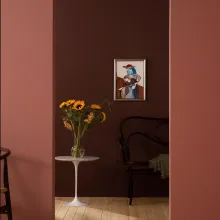 wall paint in red colour