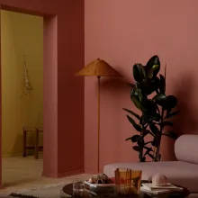 Vuoden väri 2023 Ruusun hetki