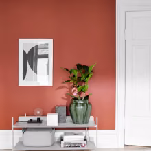 living room wall painted with terracotta color