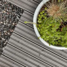 kasvit puuterassilla