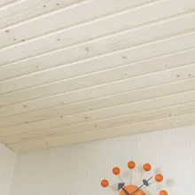 Aiemmin lakatun paneelikaton lakkaus