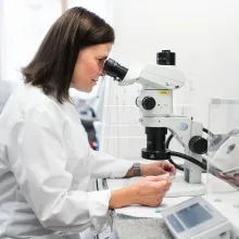 Uudistettavan pintamateriaalin analysointi